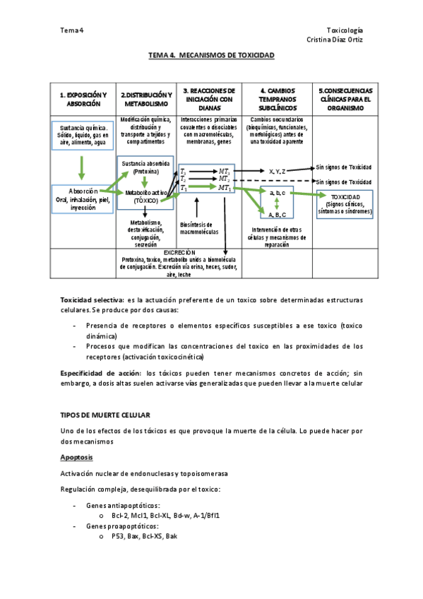 Miniatura del documento TEMA 4.pdf