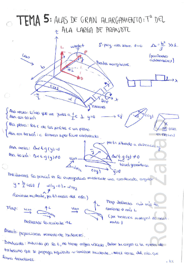 Miniatura del documento Apuntes de clase Aerodinámica I - Parte 3.pdf