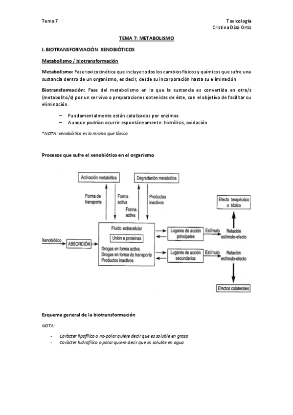 Miniatura del documento TEMA 7.pdf