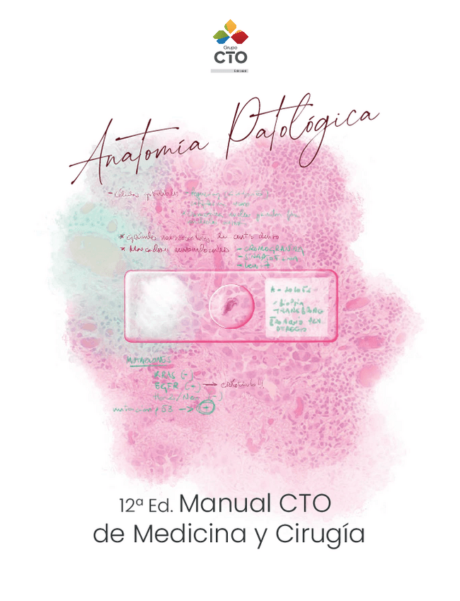 Miniatura del documento manual-CTO-APE.pdf