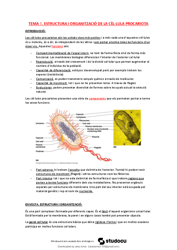 Miniatura del documento T5-Estructura-i-organitzacio-de-la-cellula-procariota.pdf