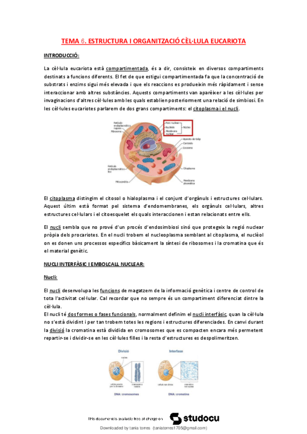 Miniatura del documento T6-Estructura-i-organitzacio-cellula-eucariota.pdf