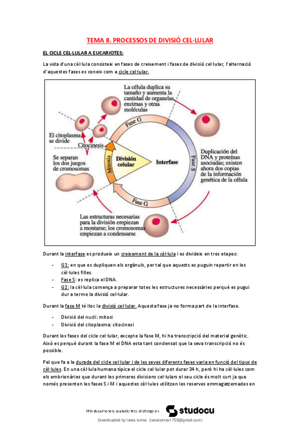 Miniatura del documento T8-Processos-de-divisio-cellular.pdf