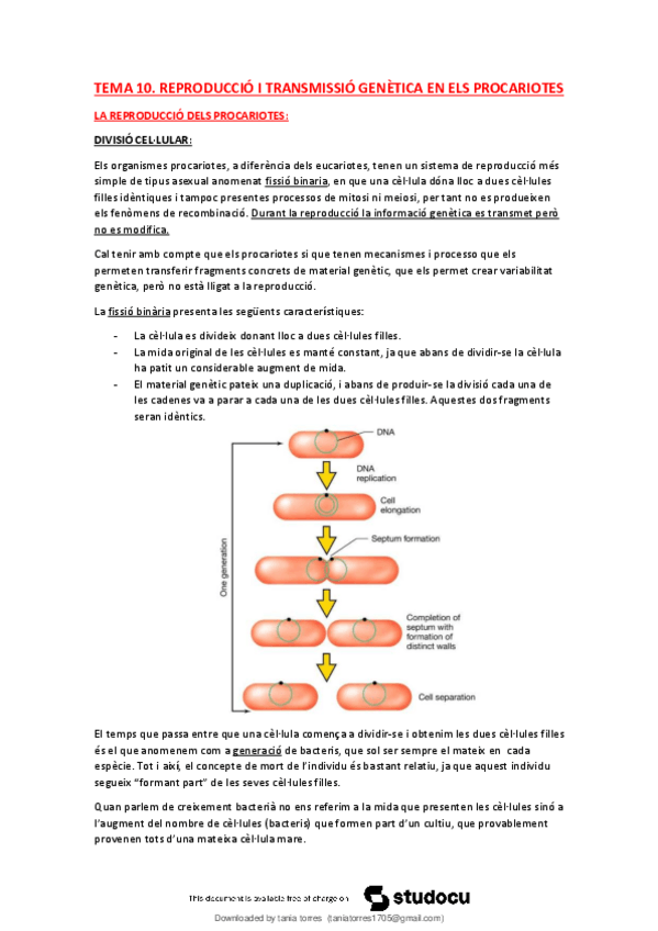 Miniatura del documento T10-Reproduccio-i-transmissio-genetica-en-els-procariotes.pdf