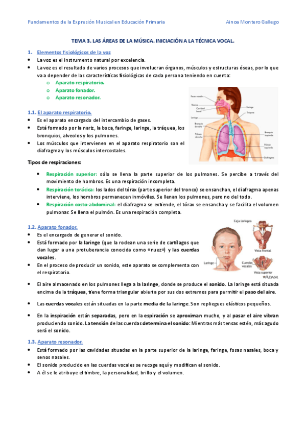 Miniatura del documento TEMA-3.-LAS-AREAS-DE-LA-MUSICA.-NICIACION-A-LA-TECNICA-VOCAL.pdf