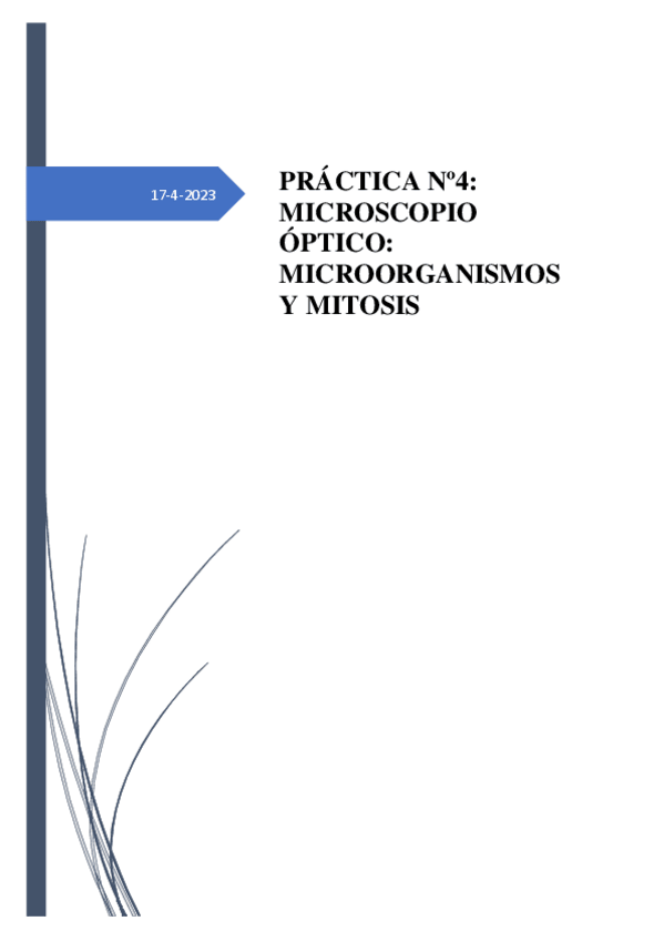 Miniatura del documento PRACTICA-4.pdf