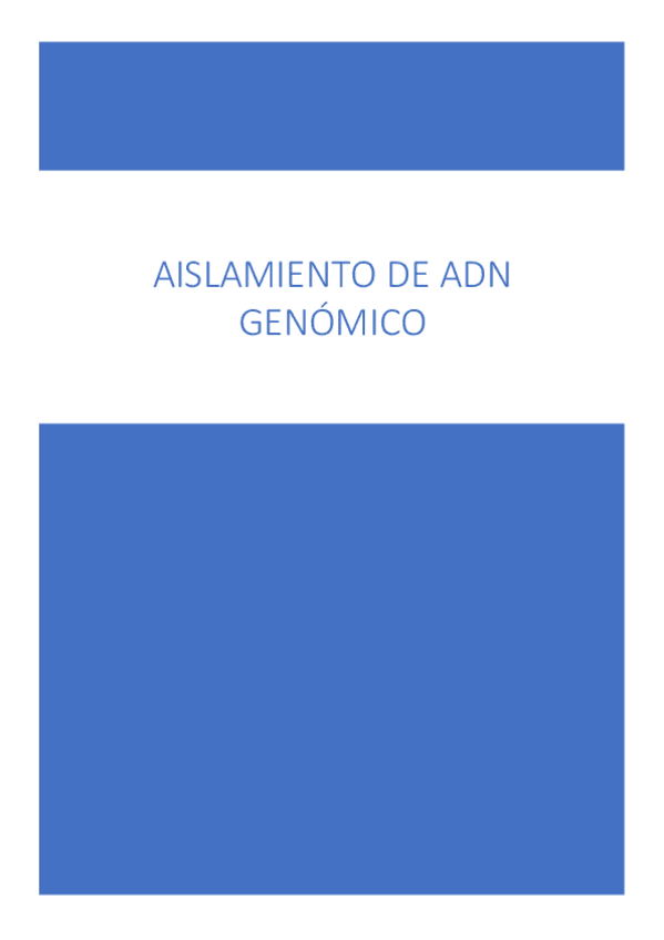 Miniatura del documento PRACTICA-2.pdf