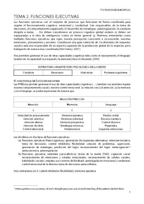 Miniatura del documento T.3-FUNCIONES-EJECUTIVAS.pdf
