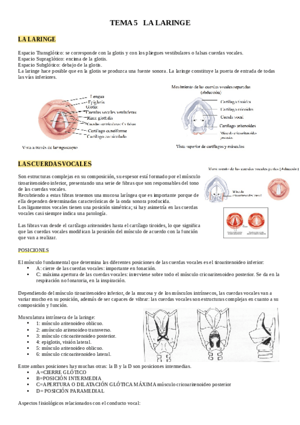 Miniatura del documento TEMA-5-MODULO-III.pdf