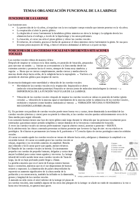 Miniatura del documento TEMA-6-MODULO-III.pdf