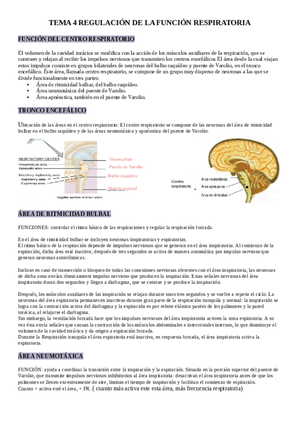 Miniatura del documento TEMA-4-MODULO-III.pdf