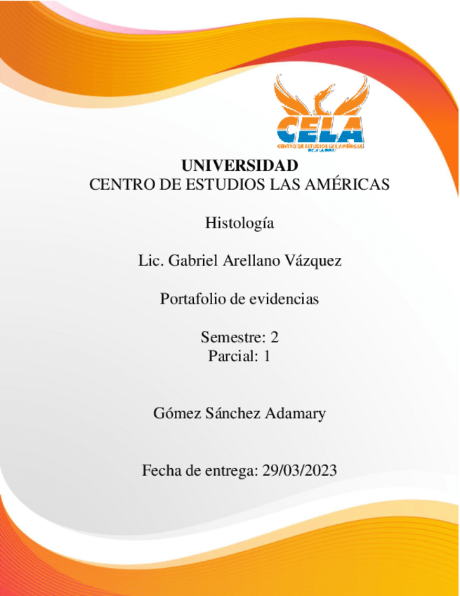 Miniatura del documento Portafolio-de-evidencias.pdf