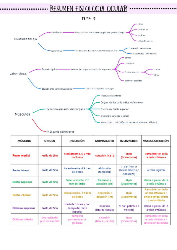 Miniatura del documento Resumen-Fisiología Ocular-parte 1.pdf