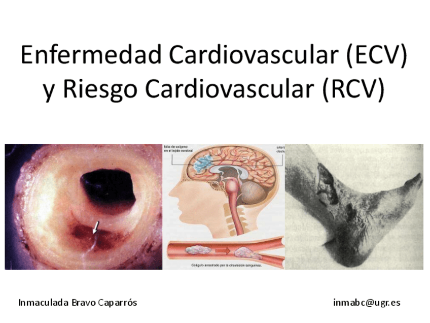 Miniatura del documento PRÁCTICAS FARMA II.pdf