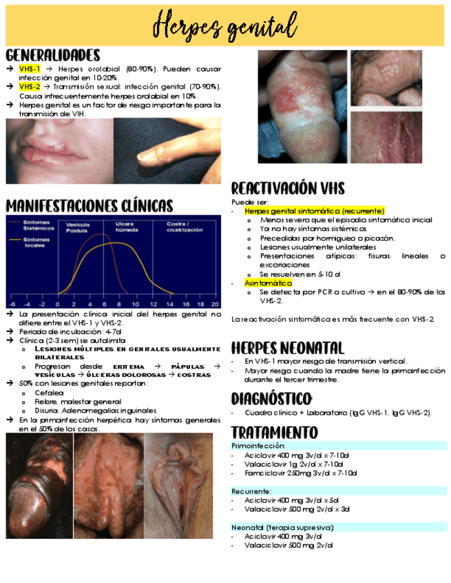 Miniatura del documento Herpes.pdf