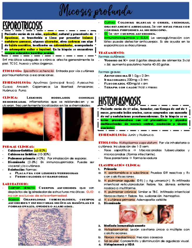 Miniatura del documento Micosis-profunda.pdf
