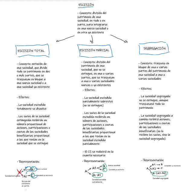 Miniatura del documento Escision-esquema.png