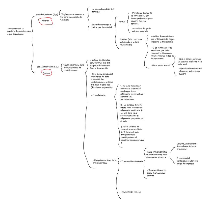 Miniatura del documento Transmisibilidad-de-la-condicion-de-socio-esquema.png
