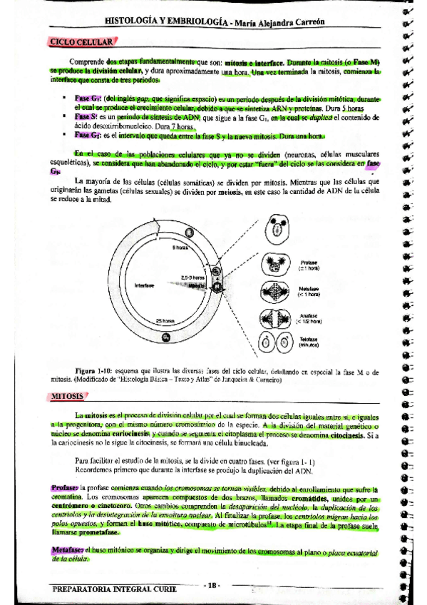 Miniatura del documento MIS-APUNTES-BIOESTADISTICA-39.pdf