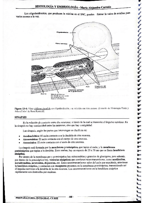 Miniatura del documento MIS-APUNTES-BIOESTADISTICA-44.pdf