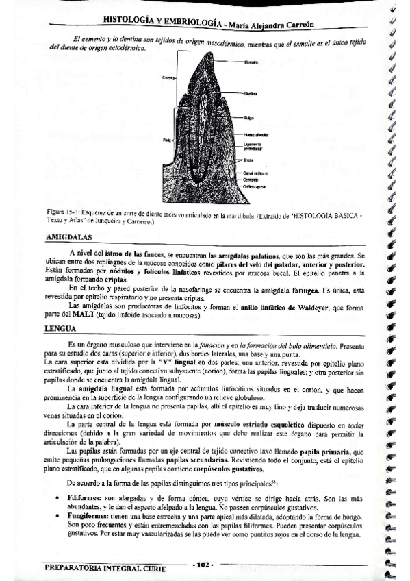 Miniatura del documento MIS-APUNTES-BIOESTADISTICA-45.pdf