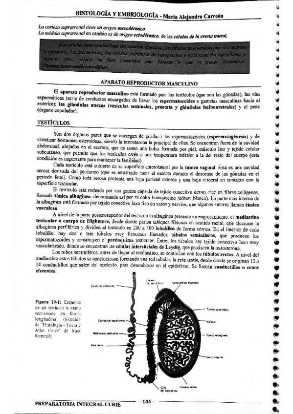 Miniatura del documento MIS-APUNTES-BIOESTADISTICA-48.pdf