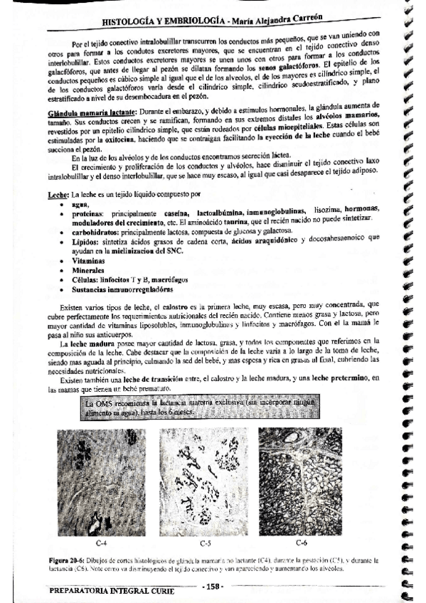 Miniatura del documento MIS-APUNTES-BIOESTADISTICA-49.pdf
