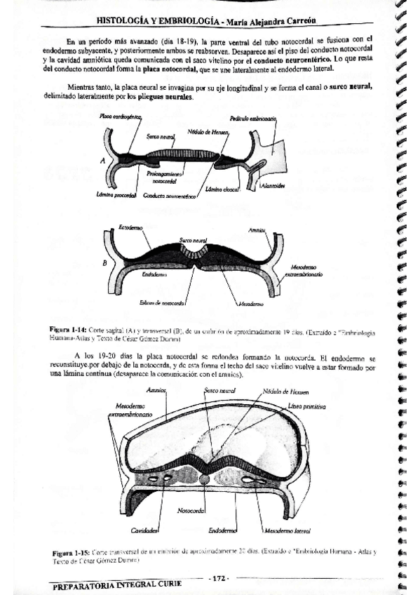 Miniatura del documento MIS-APUNTES-BIOESTADISTICA-50.pdf