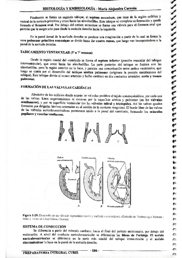 Miniatura del documento MIS-APUNTES-BIOESTADISTICA-51.pdf