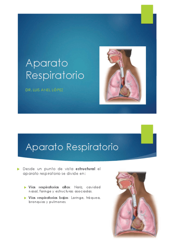 Miniatura del documento Tema-11.-Aparato-Respiratorio.pdf