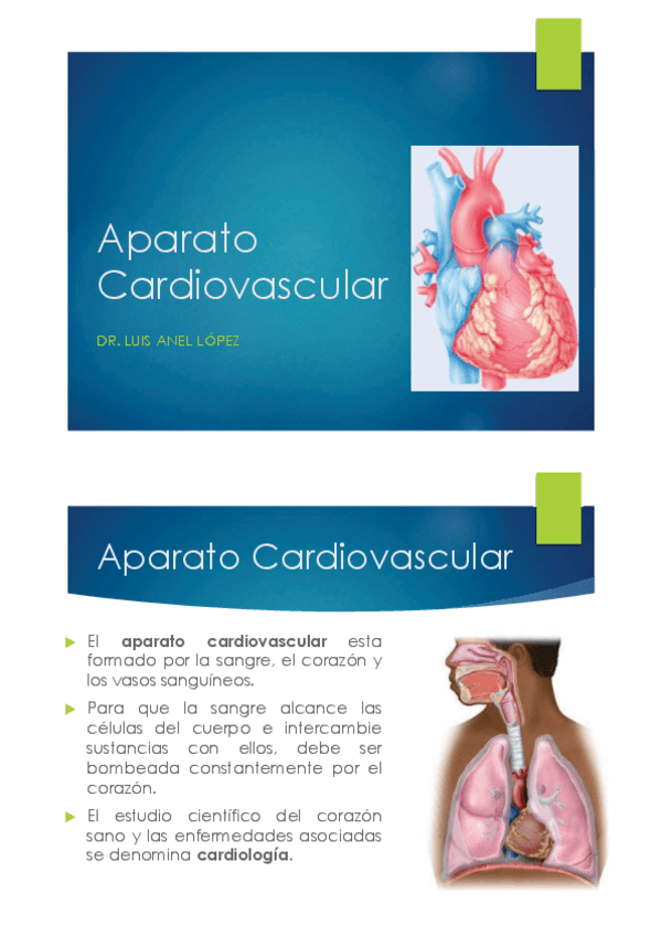 Miniatura del documento Tema-17-y-18.-Aparato-Cardiovascular.pdf