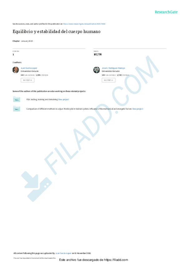 Miniatura del documento EQUILIBRIO-Y-ESTABILIDAD-EN-EL-CUERPO-HUMANO.pdf
