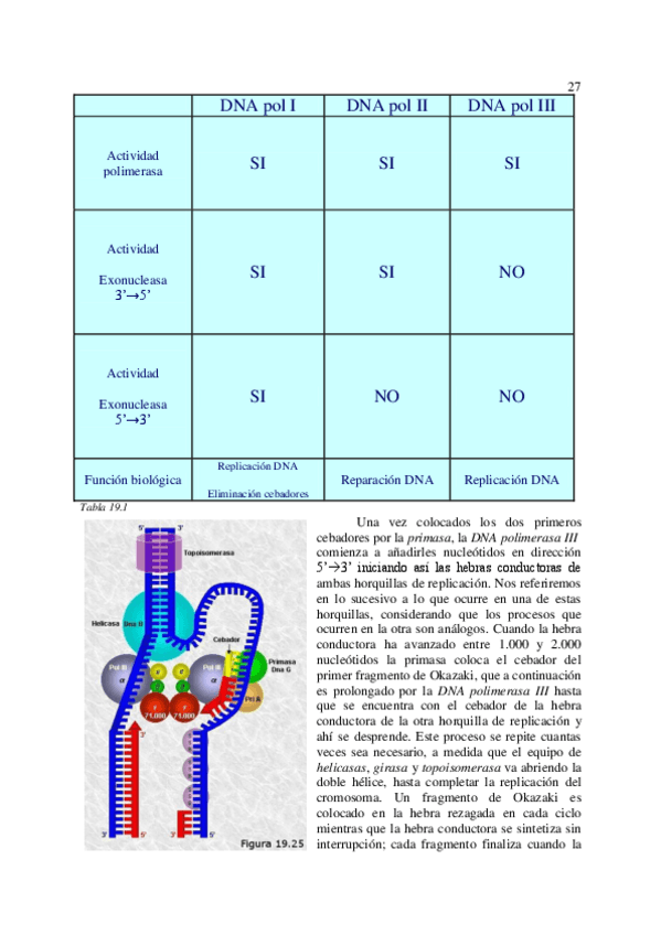 Miniatura del documento 6Genetica-molecular-autor-Curso-de-biologia-3.pdf