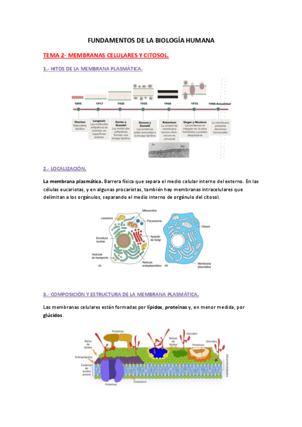 Miniatura del documento Apuntes-tema-2-biologia.pdf
