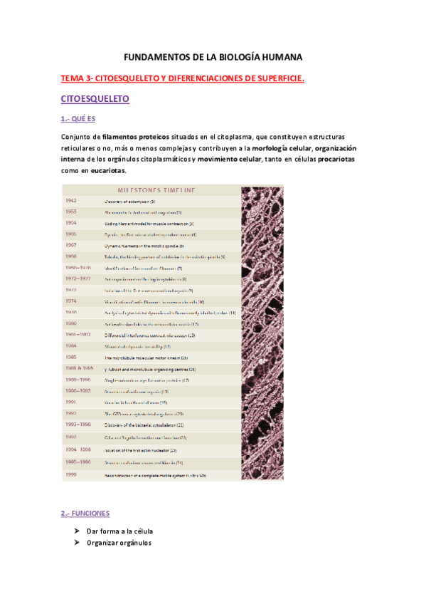 Miniatura del documento Apuntes-tema-3-biologia.pdf