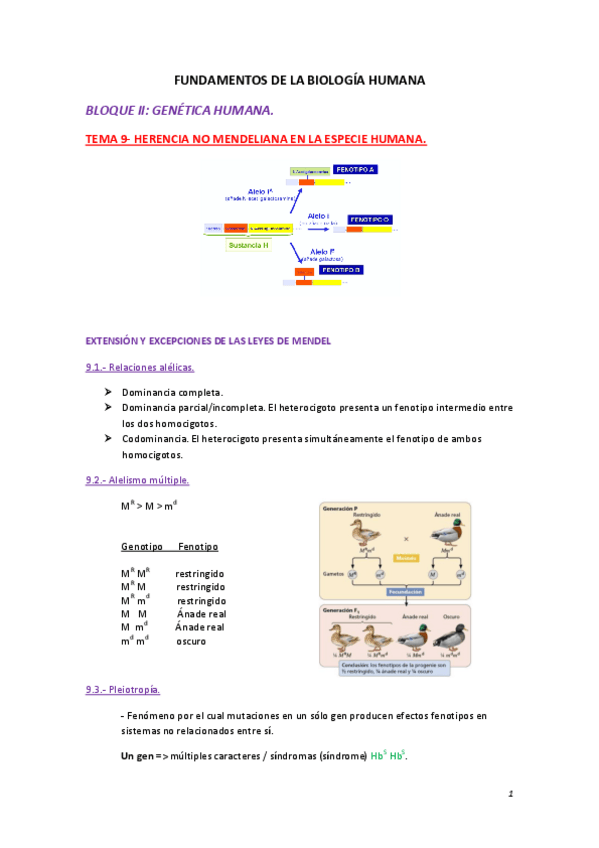 Miniatura del documento Apuntes-tema-9-biologia.pdf