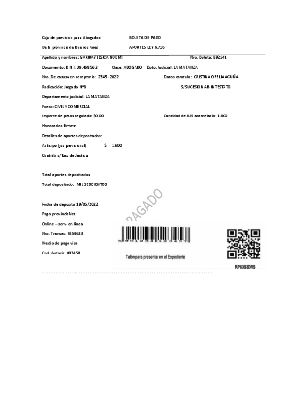 Miniatura del documento ANTICIPO-JUS-PREVISIONAL.pdf