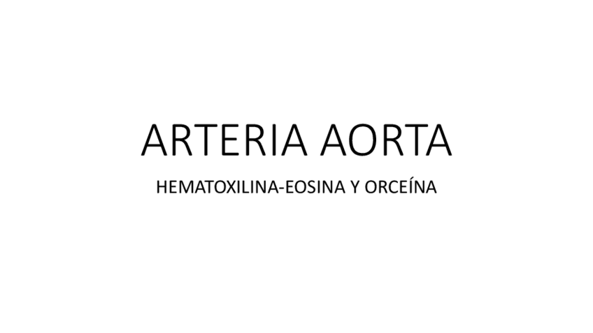 Miniatura del documento 3.-Sistema-cardiovascular.pdf