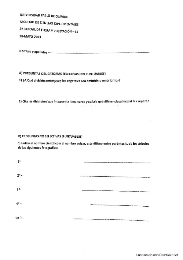 Miniatura del documento Parcial2-2023-Flora.pdf