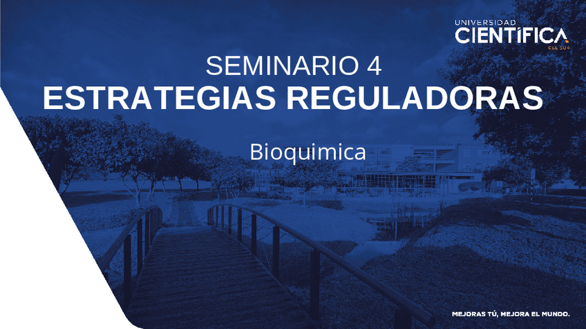 Miniatura del documento SEMINARIO-4-estrategias-reguladoras-Tema-4.pdf