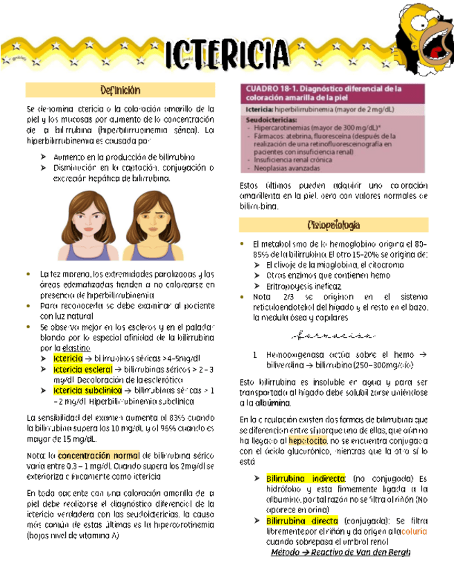 Miniatura del documento ICTERICIA.pdf