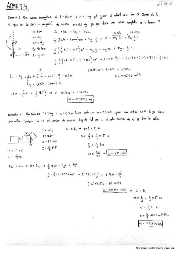Miniatura del documento FISICA-ACME-T4.pdf