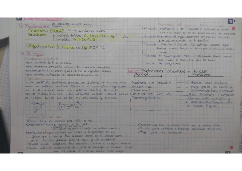 Miniatura del documento Bioelementos-el-agua.pdf