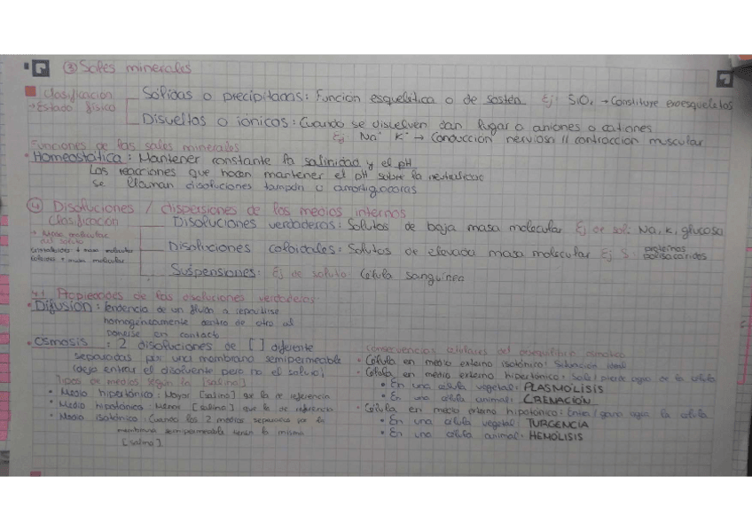 Miniatura del documento Sales-minerales-pH-osmosis.pdf