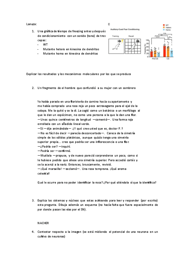 Miniatura del documento examen-neuro-1o-2023.pdf
