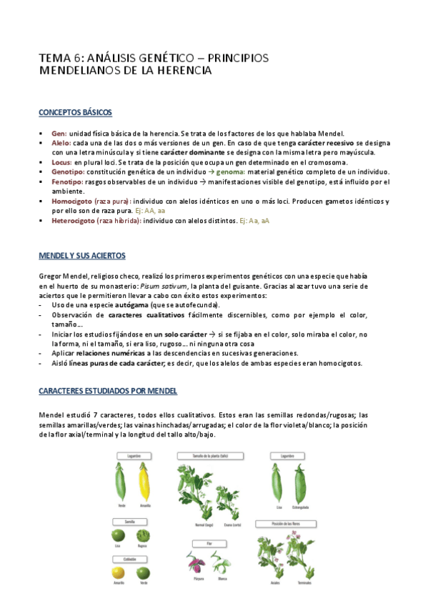 Miniatura del documento Tema-6.pdf