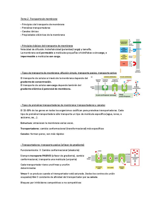 Miniatura del documento Tema-2.-Transporte-a-traves-de-membrana.pdf