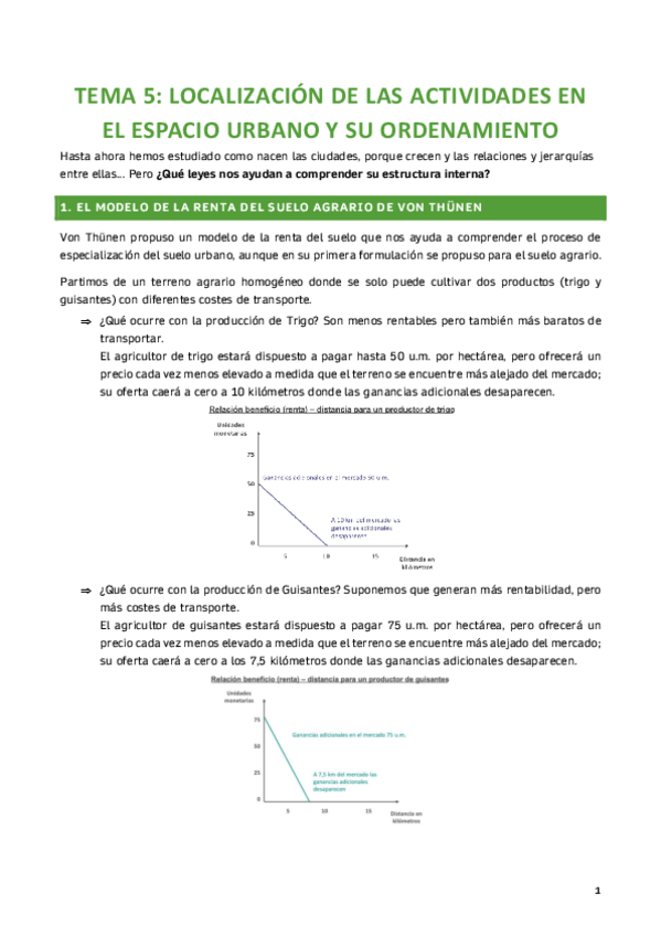 Miniatura del documento TEMA-5-LOCALIZACION-DE-LAS-ACTIVIDADES-EN-EL-ESPACIO-URBANO-Y-SU-ORDENAMIENTO.pdf