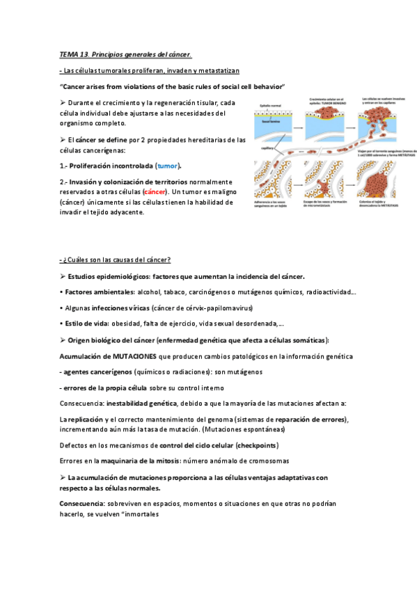 Miniatura del documento Tema-13.-Principios-generales-del-cancer.pdf