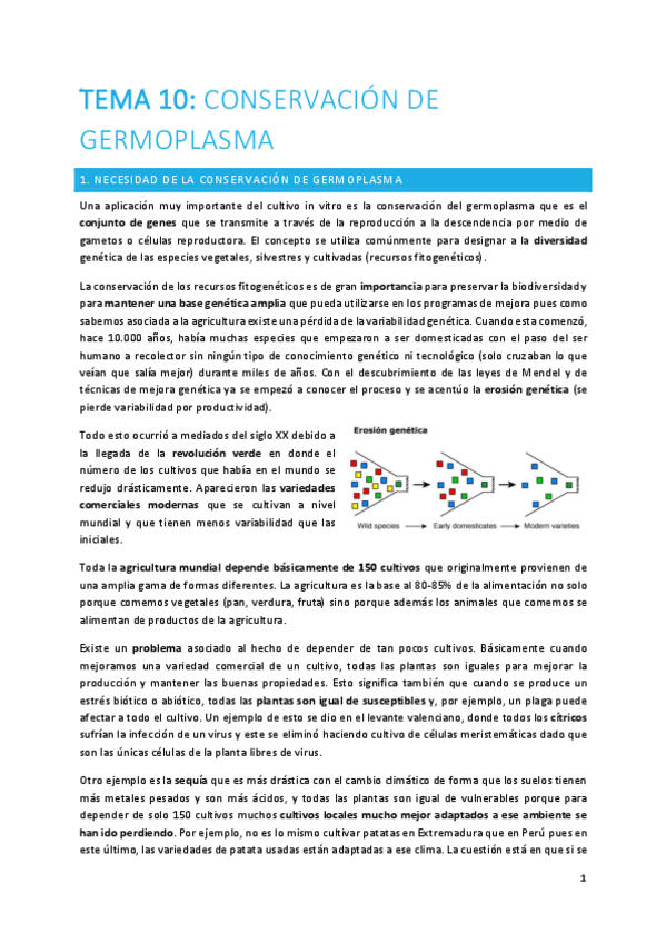 Miniatura del documento TEMA-10-plantas.pdf